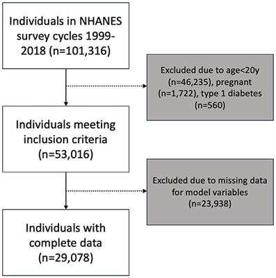 Bayesian network model of ethno-racial disparities in cardiometabolic-based chronic disease using NHANES 1999–2018